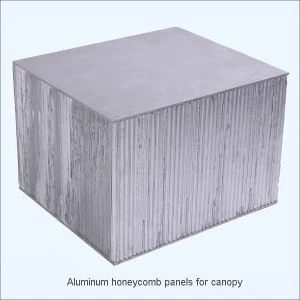 Aluminum honeycomb panels for canopy